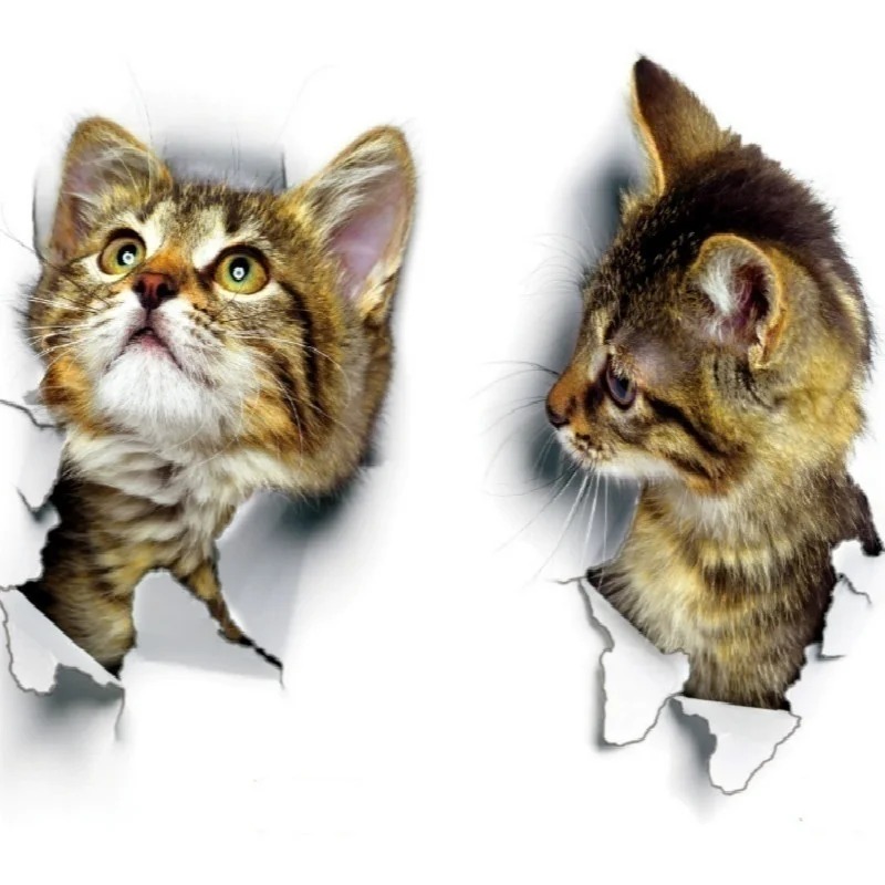 3pcs 3D Cute Cat Self-adhesive - Pvc Panel Background review and price