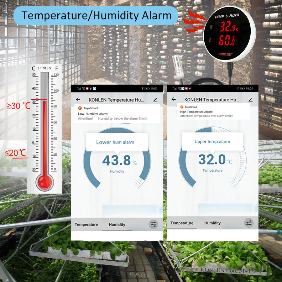 Tuya WIFI Temperature Humidity - Digital Hygrometer Probe review and price