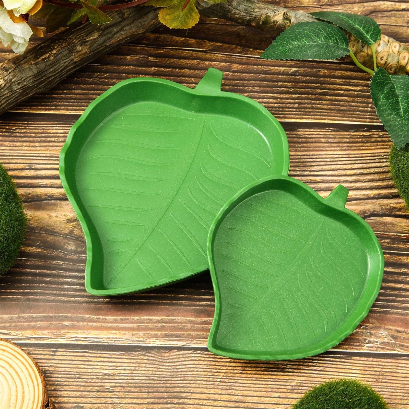 Turtle Feeding Bowl Reptile Fe - Water Dish Reptile review and price