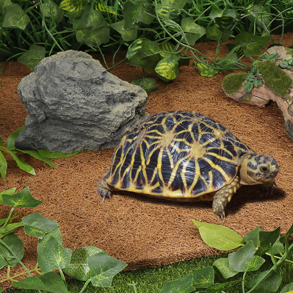 Reptile Thermal Substrate Carp - Substrate Coconut Fiber review and price