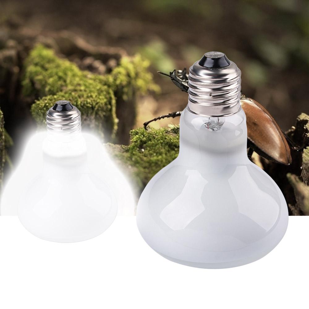Amphibians Heater Temperature  - Basking Bulb Halogen review and price