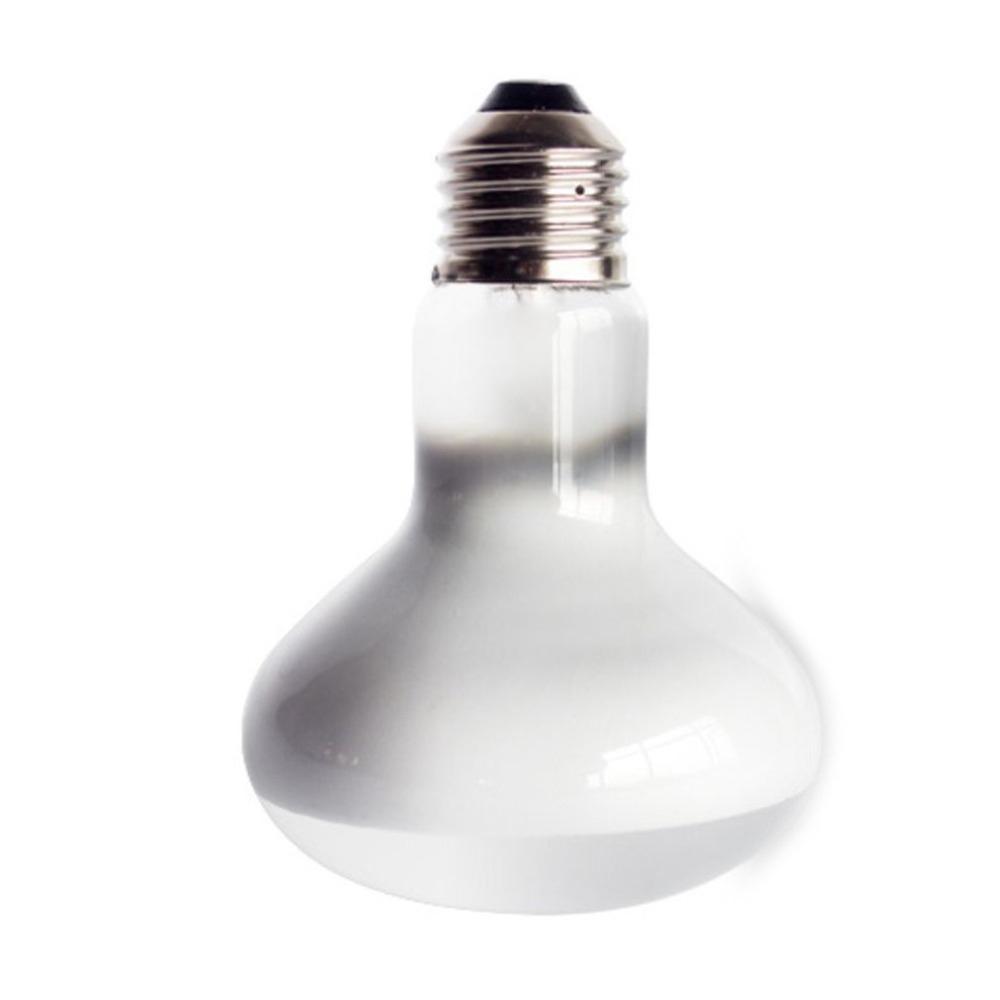 Amphibians Heater Temperature  - Basking Bulb Halogen review and price