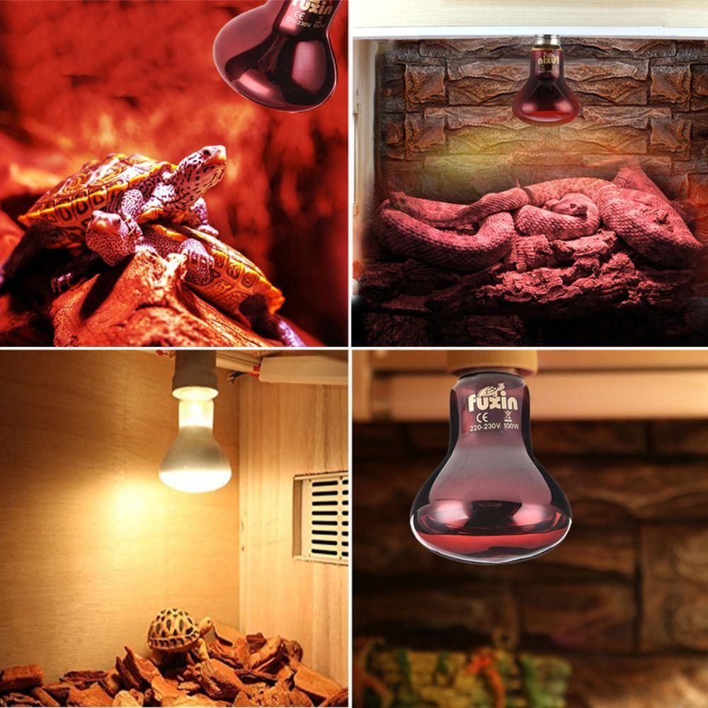 Infrared Led Pet Heating Lamp  - Ceramic Heat Emitter review and price