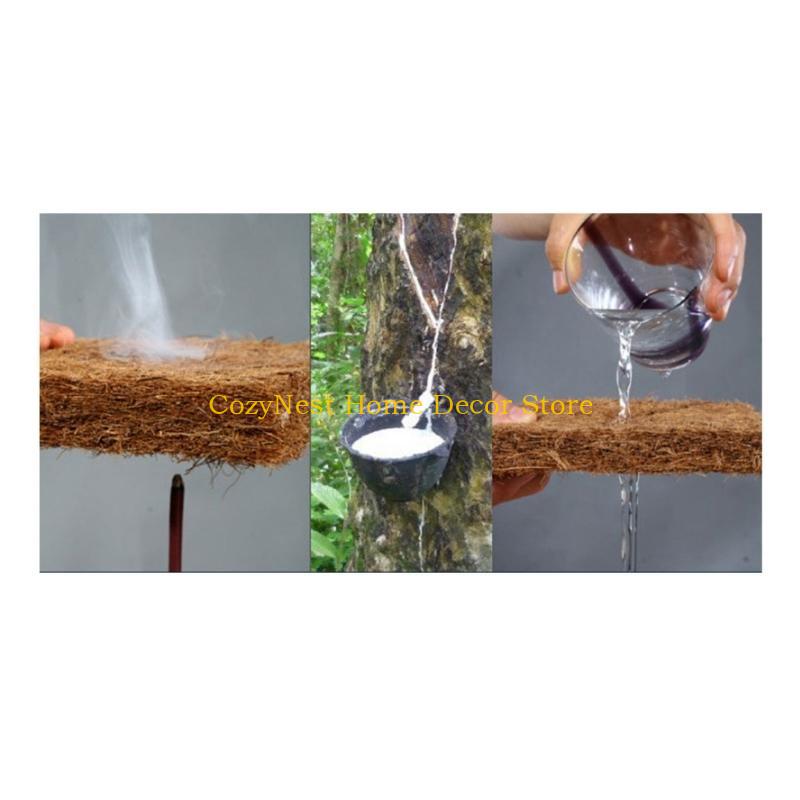 92MF Terrariums Substrate Line - Substrate Coconut Fiber review and price