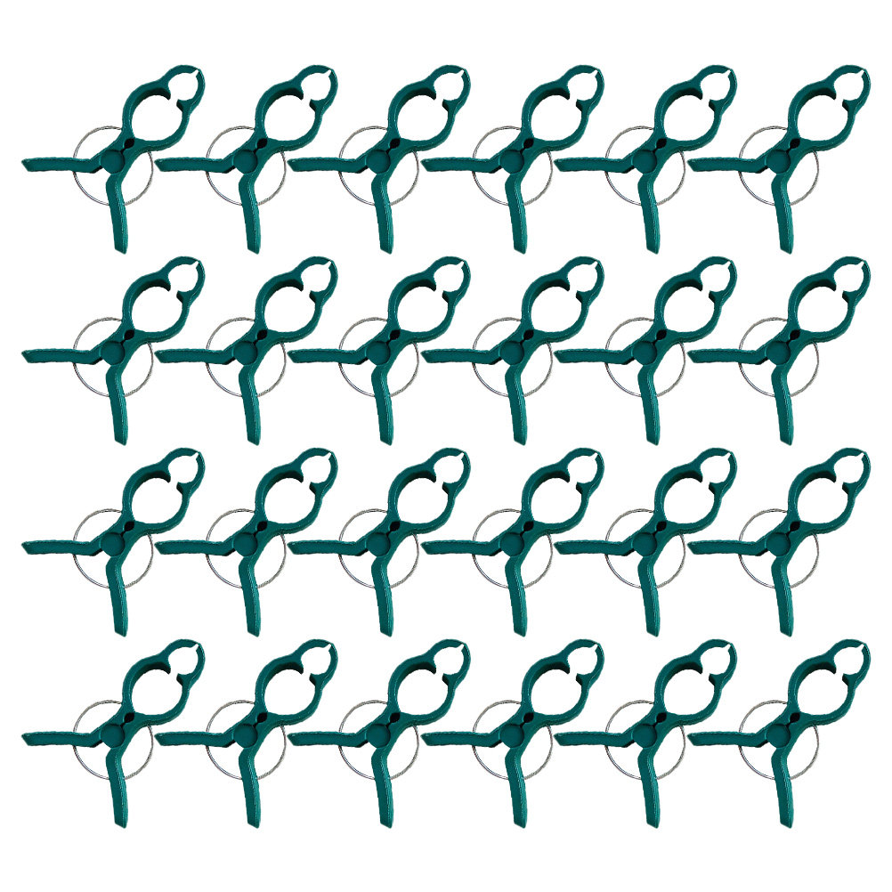 50Pcs Tomato Stem Support Clip - Vine Climbing Plastic review and price