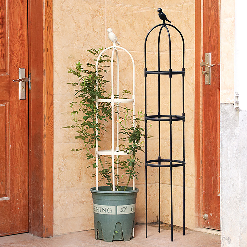 New DIY Flower Vine Climbing P - Vine Climbing Plastic review and price