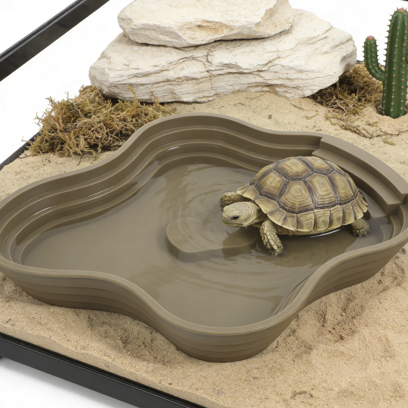Large Turtle Reptile Bathing P - Water Dish Reptile review and price