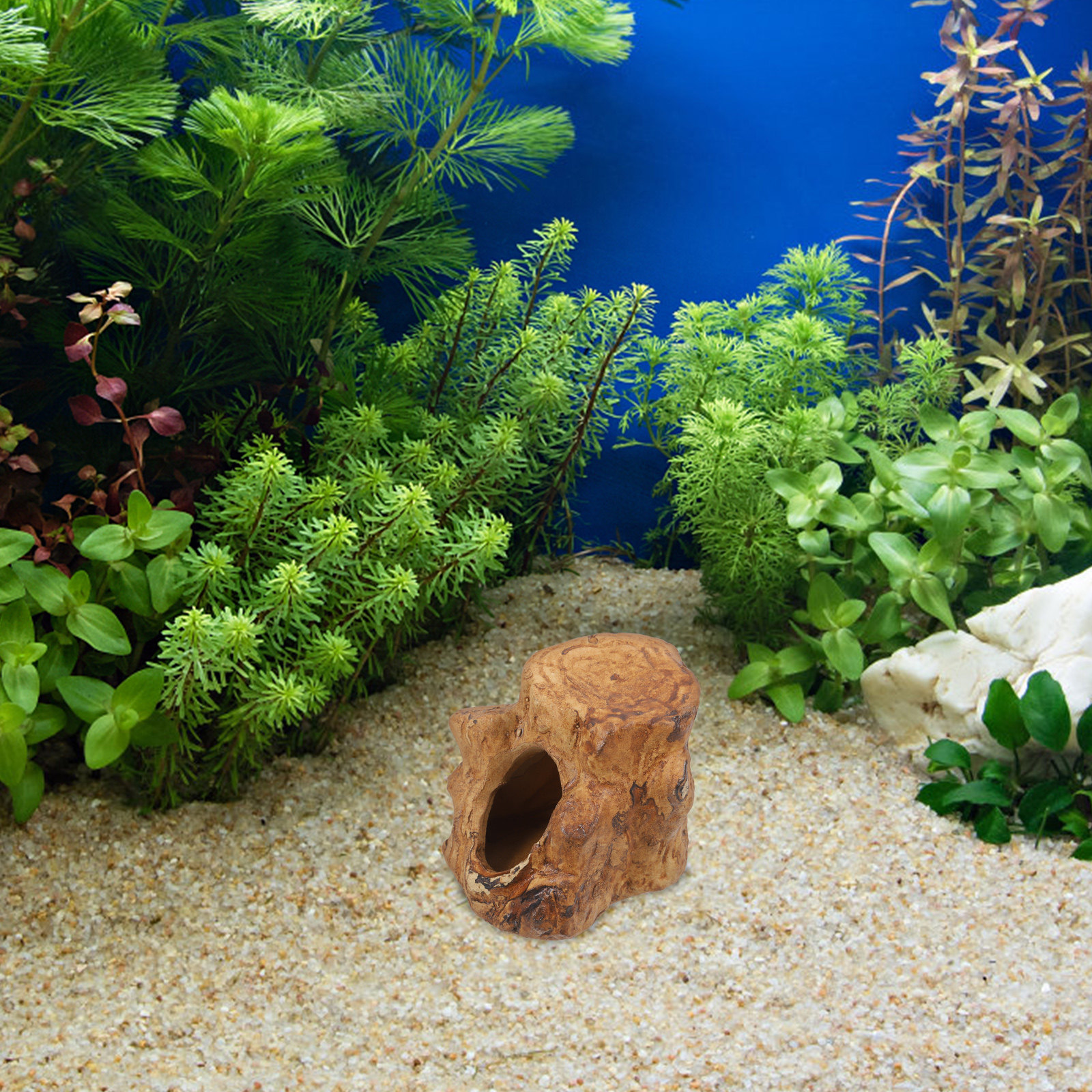 Pleco Caves for Aquarium Fish  - Hide Cave Ceramic review and price