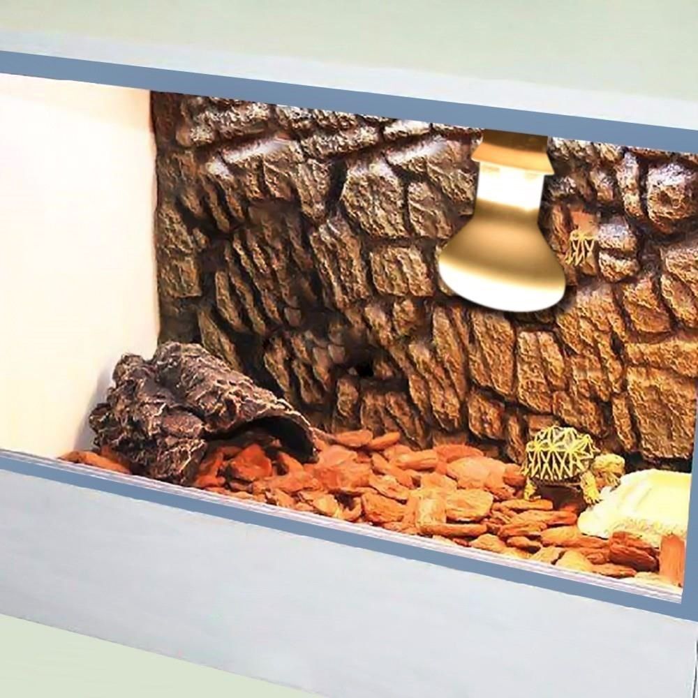 Amphibians Heater Heat Lamp UV - Basking Bulb Halogen review and price