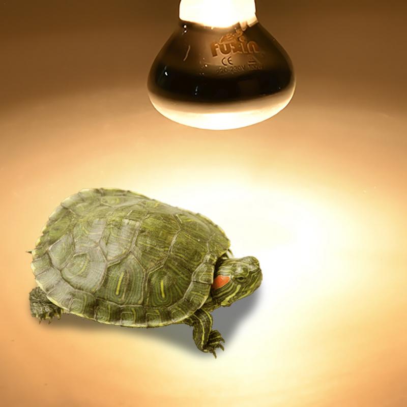 Pet Heating Lamp E27 Day Night - Ceramic Heat Emitter review and price