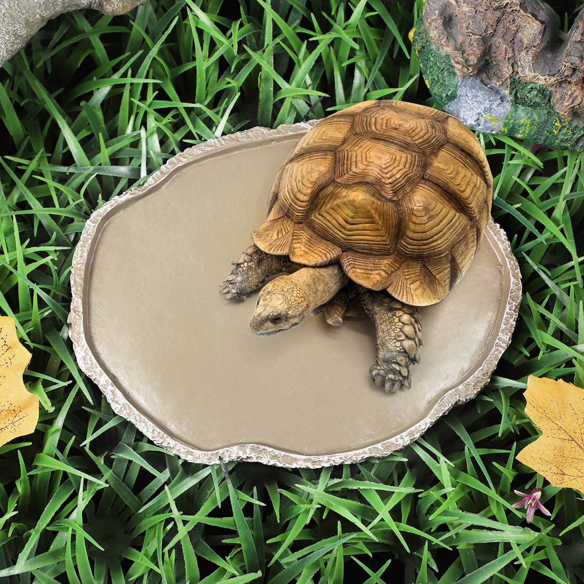 Pets Feeding Plate Reptile Fee - Water Dish Reptile review and price