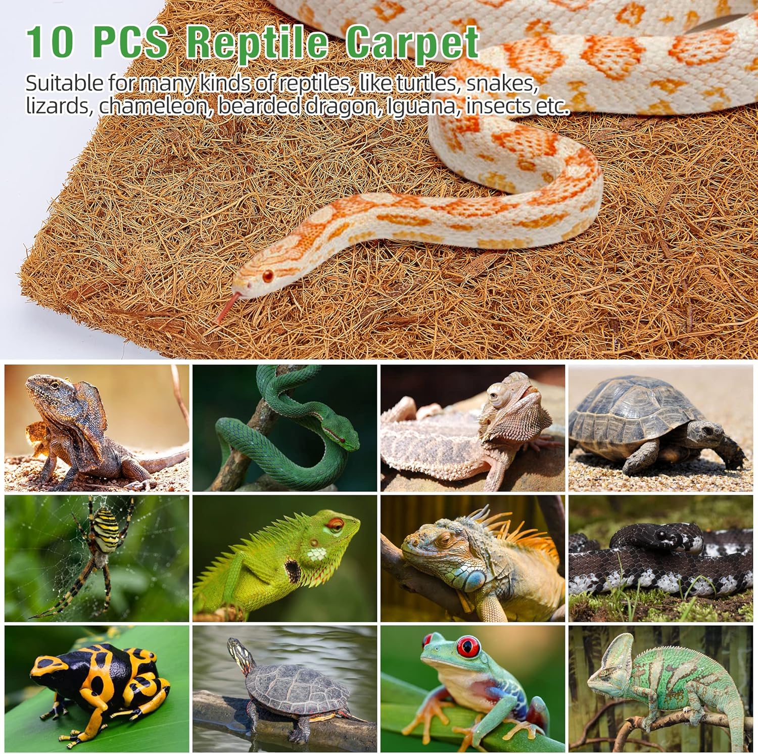 10 Pcs Reptile Carpet, 12x12 i - Substrate Coconut Fiber review and price