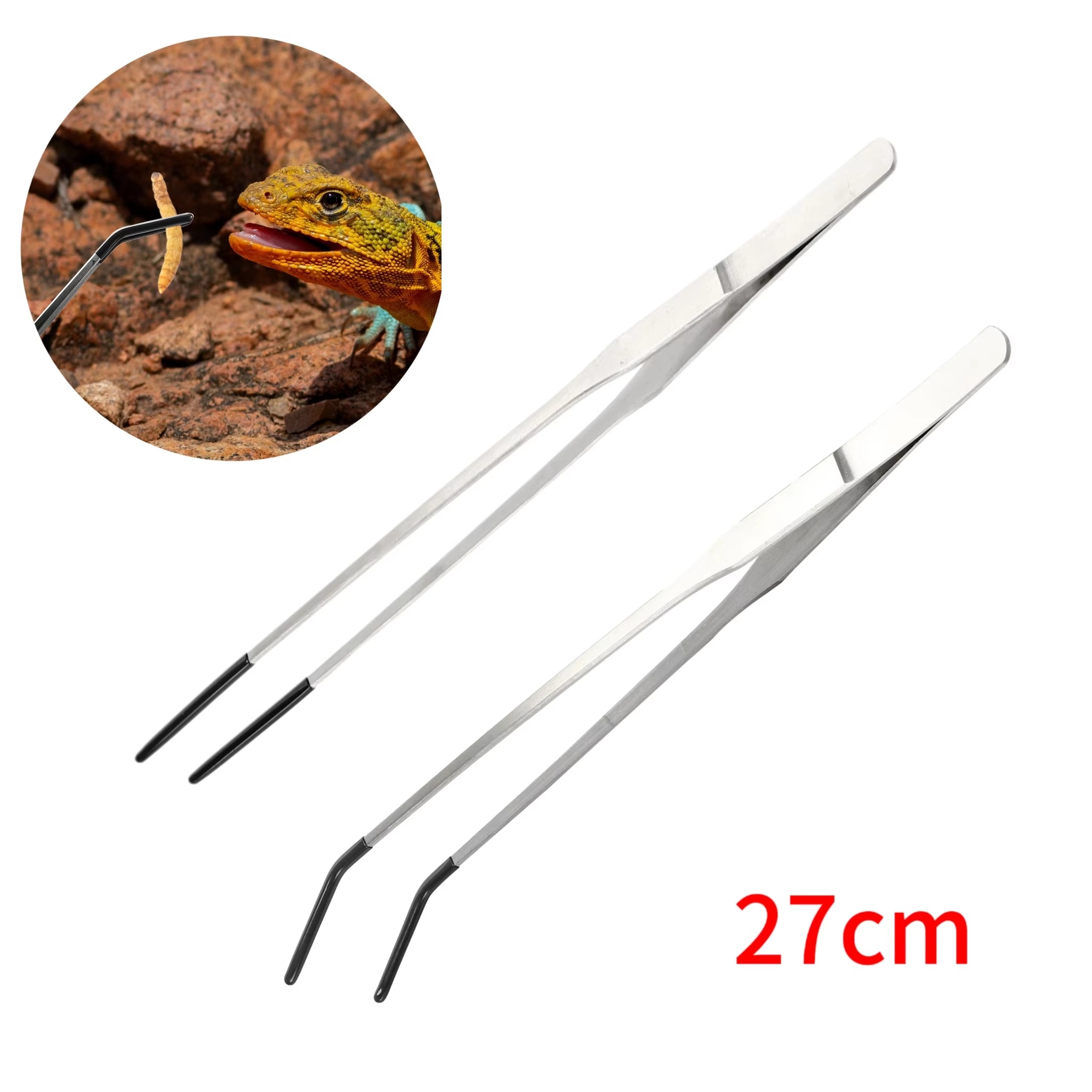 Stainless Steel Reptile Feedin - Feeding Tong Stainless review and price