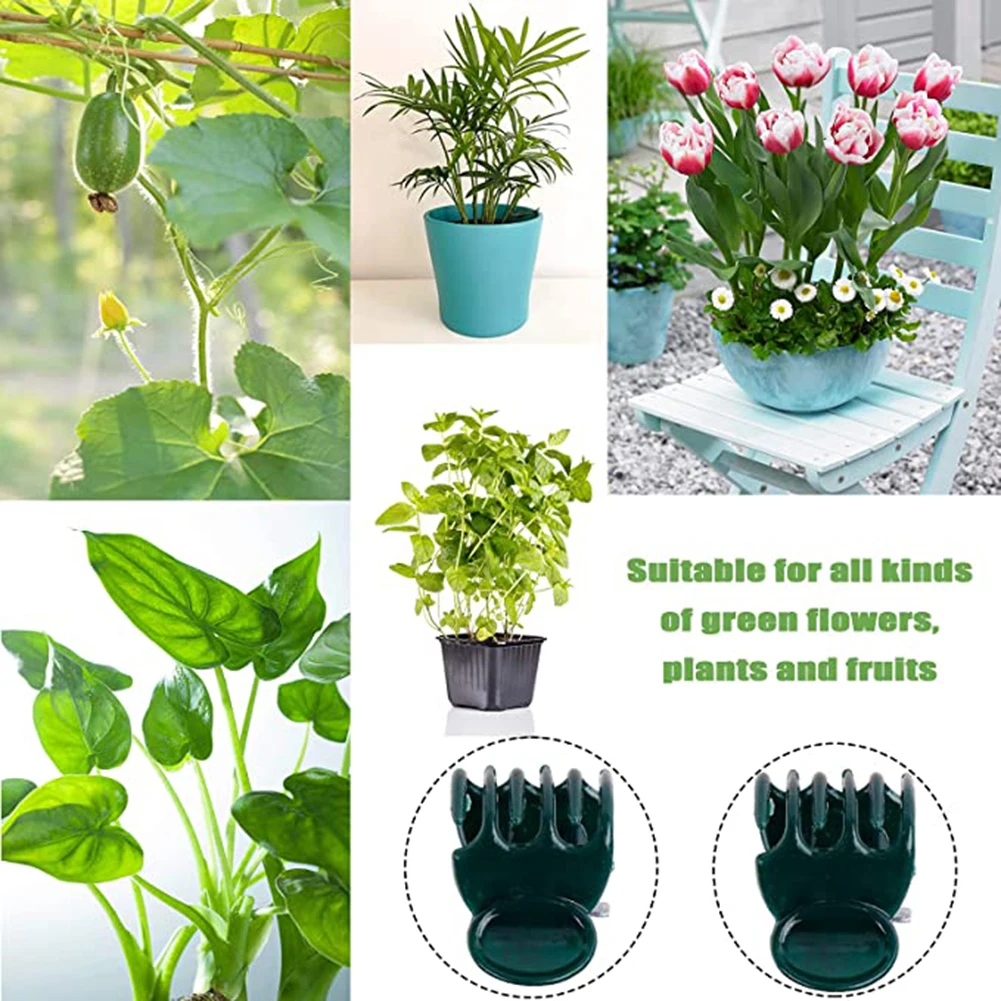 Phalaenopsis Orchid Support Cl - Vine Climbing Plastic review and price