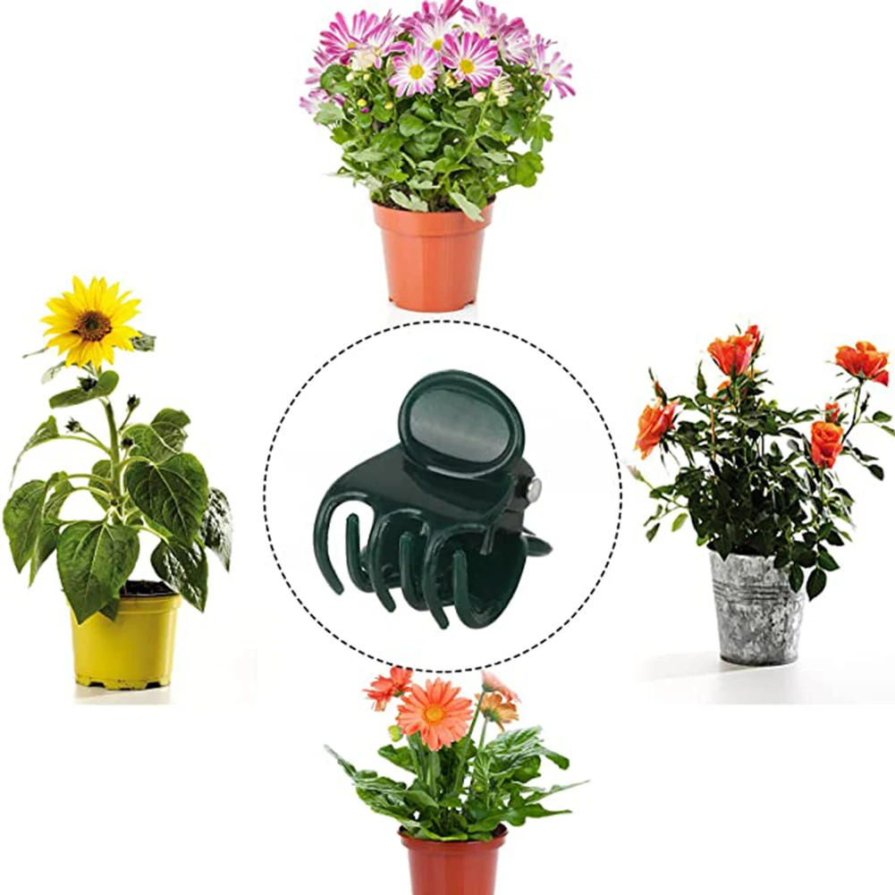 Phalaenopsis Orchid Support Cl - Vine Climbing Plastic review and price