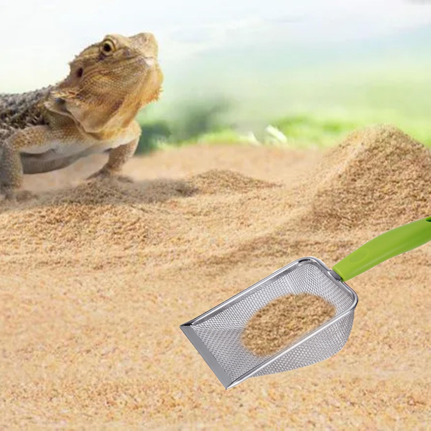Reptile Sand Scoop Set - Fine  - Feeding Tong Stainless review and price
