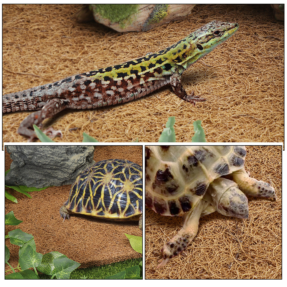 Reptile Carpet Natural Coconut - Substrate Coconut Fiber review and price