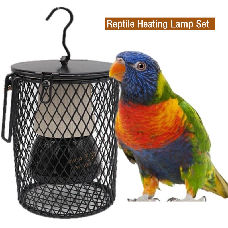 Reptile Heating Lamp for Turtl - Ceramic Heat Emitter review and price