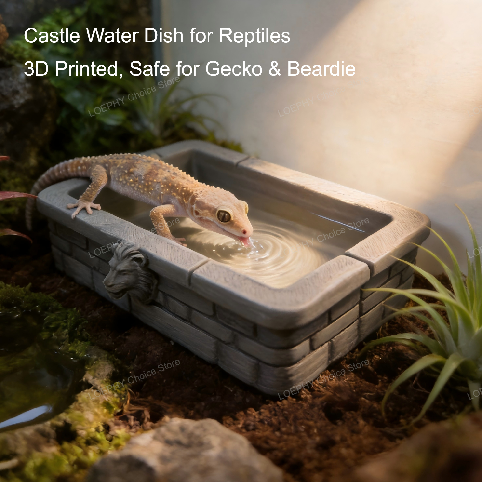 Reptile Water Bowl 3D Printed  - Water Dish Reptile review and price