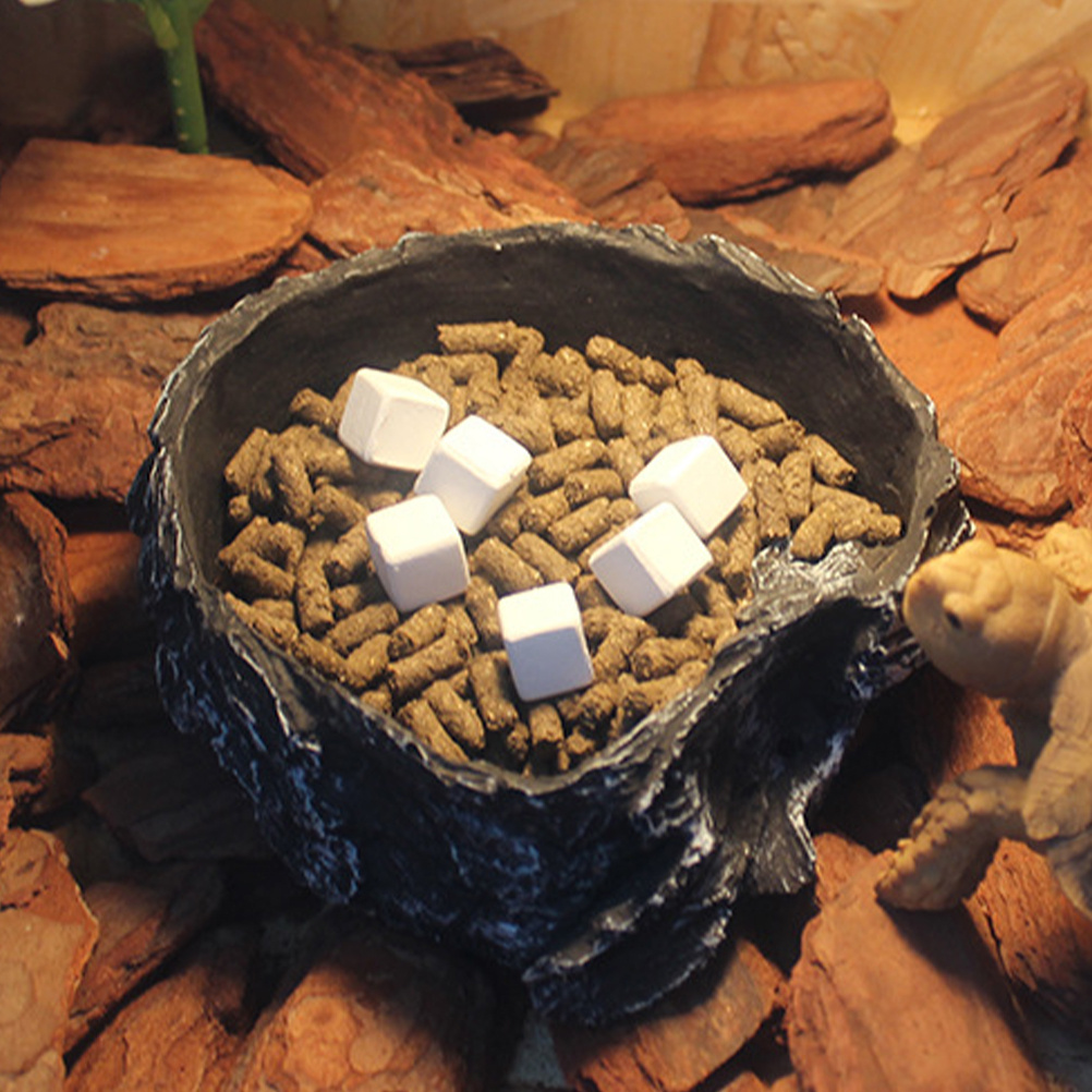 6Pcs Tortoise Tank Calcium Cub - Calcium Powder Reptile review and price