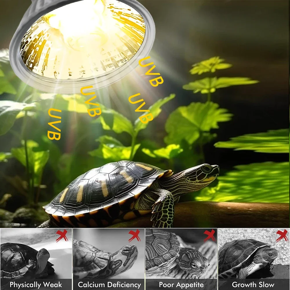 25/50/75W UVB Reptile Lamp Bul - Calcium Powder Reptile review and price