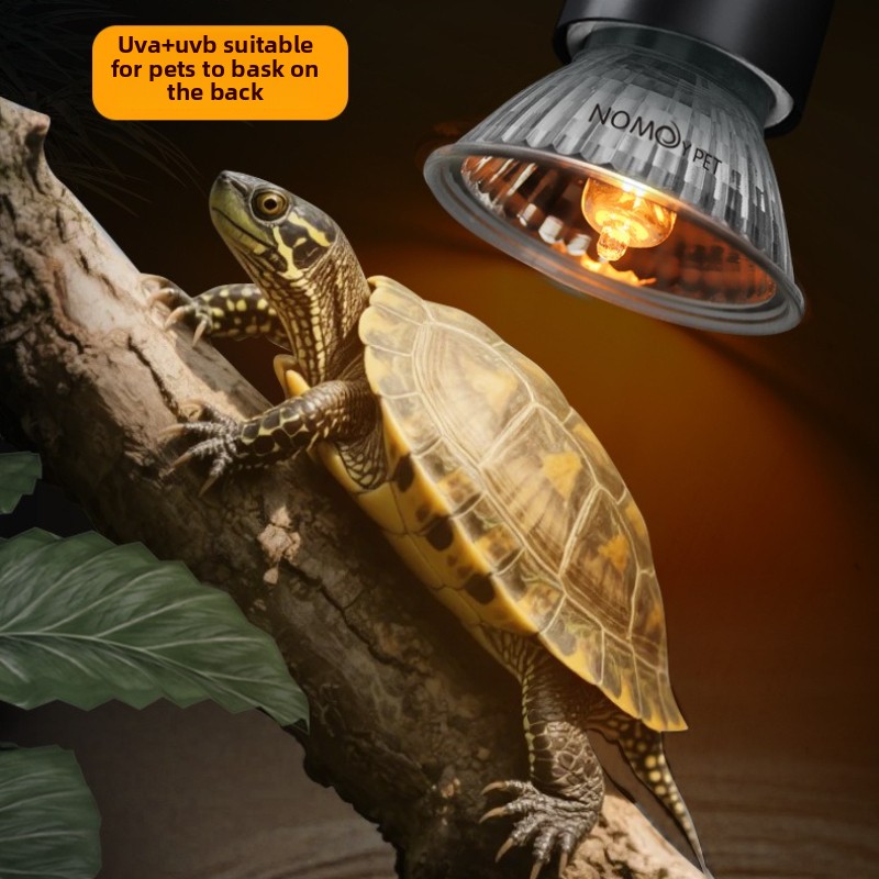 NOMOY 25/50/75w UVB 3.0 Reptil - Vitamin D3 Reptile review and price