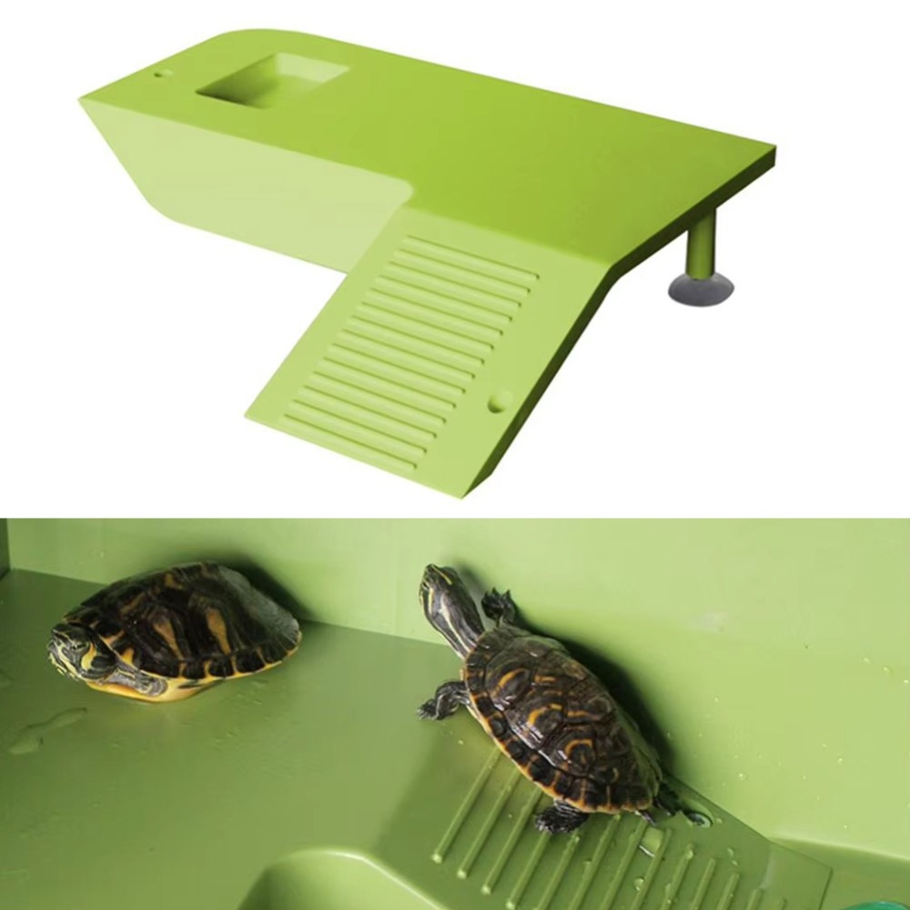 Water Land Slope Box Feeding C - Water Dish Reptile review and price