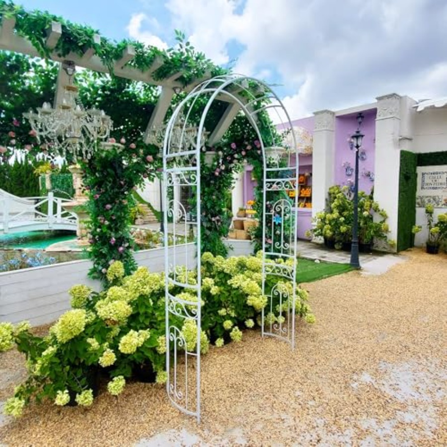 White metal wedding arch for g - Vine Climbing Plastic review and price
