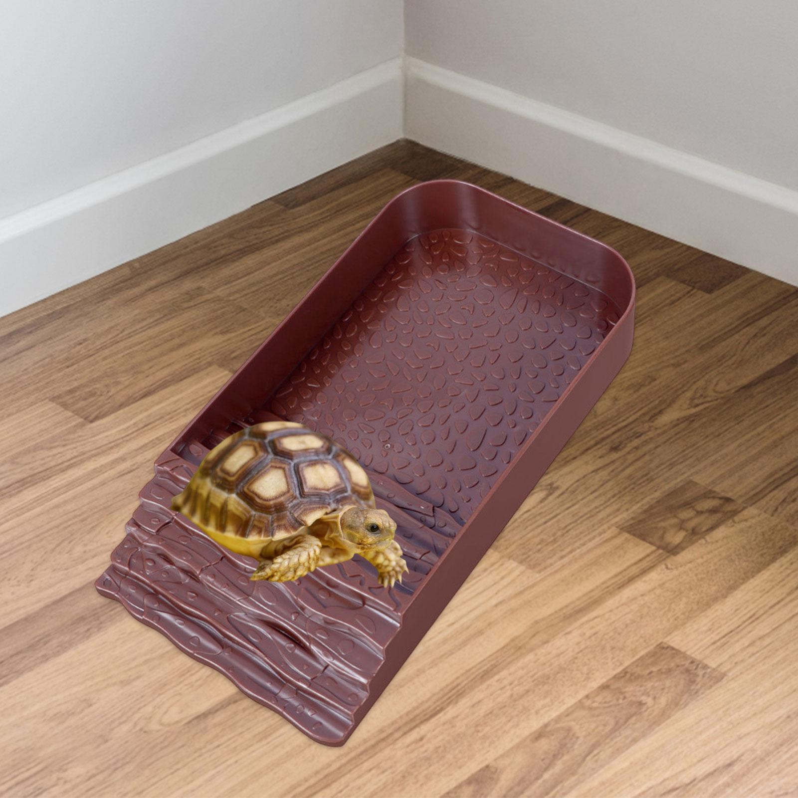 Reptile Water Bowl Accessories - Water Dish Reptile review and price