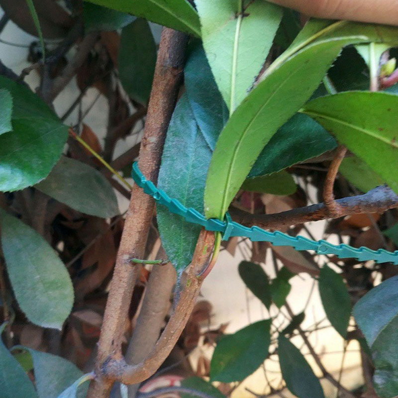 13cm Adjustable Plastic Plant  - Vine Climbing Plastic review and price